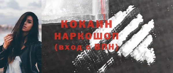 индика Горно-Алтайск