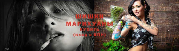 индика Горно-Алтайск