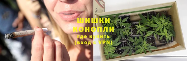 индика Горно-Алтайск