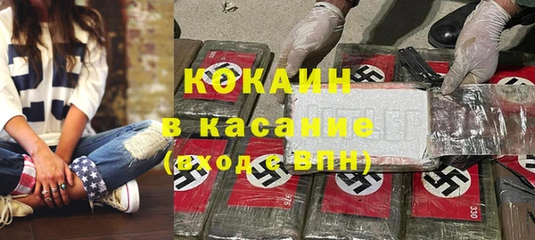 индика Горно-Алтайск