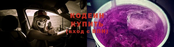 индика Горно-Алтайск