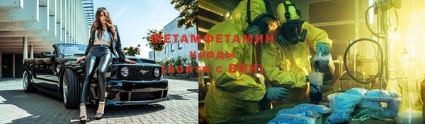 индика Горно-Алтайск